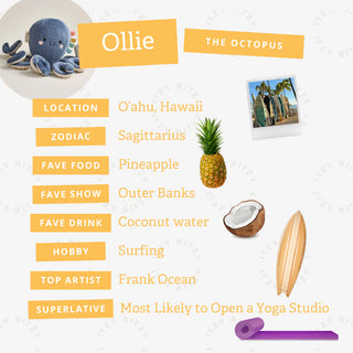 Ollie the Octopus | Sweetie Snuggles™ Plush