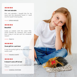 Perfect Petzzz Mini Yorkie