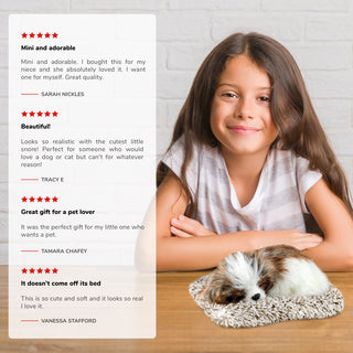 Perfect Petzzz Mini Shih Tzu