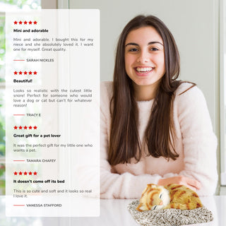 Perfect Petzzz Mini Orange Tabby