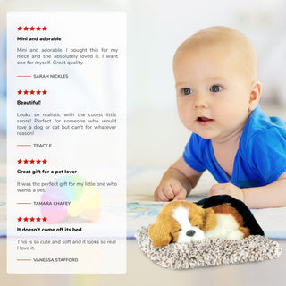 Perfect Petzzz Mini Beagle