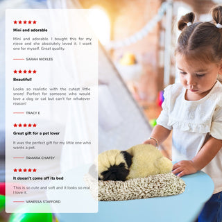 Perfect Petzzz Mini Pug