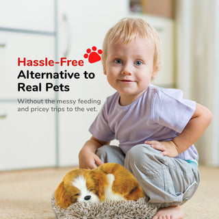 Perfect Petzzz Mini Cavalier King Charles