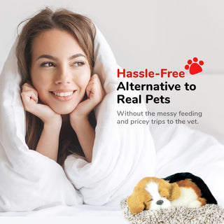 Perfect Petzzz Mini Beagle