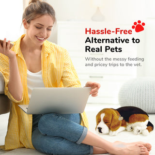 Perfect Petzzz Beagle