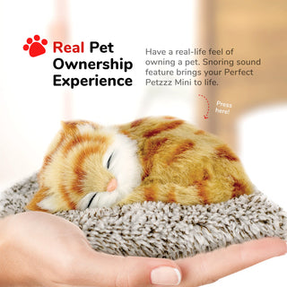 Perfect Petzzz Mini Orange Tabby