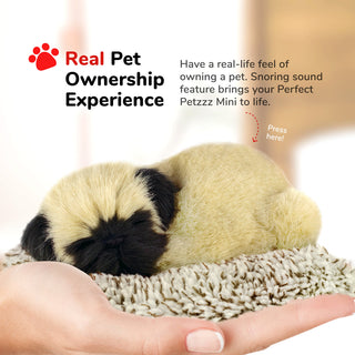 Perfect Petzzz Mini Pug