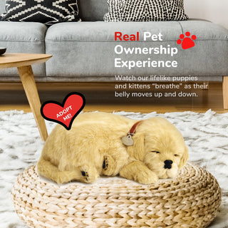 Perfect Petzzz Golden Retriever