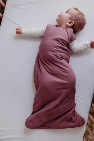 Sugarplum Sleep Bag