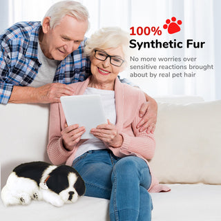 Perfect Petzzz Border Collie