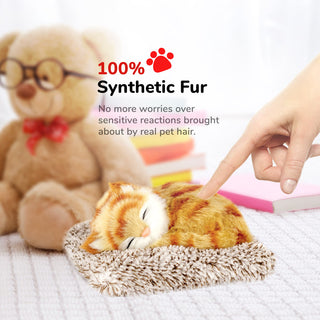 Perfect Petzzz Mini Orange Tabby