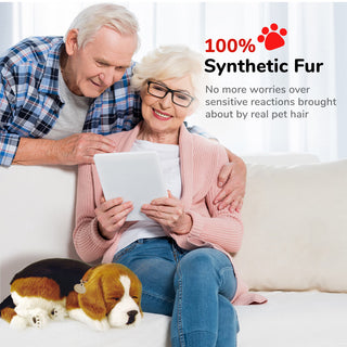 Perfect Petzzz Beagle