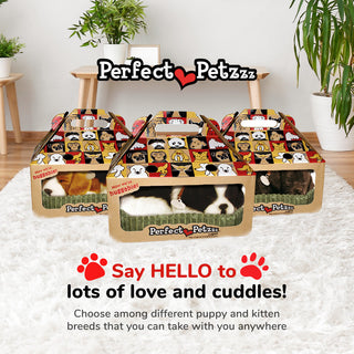 Perfect Petzzz Border Collie