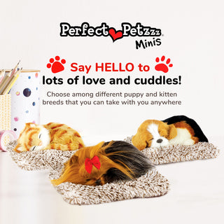 Perfect Petzzz Mini Yorkie
