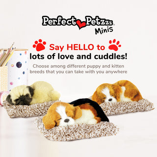 Perfect Petzzz Mini Beagle