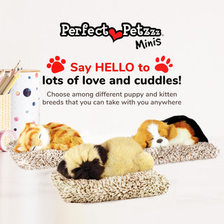 Perfect Petzzz Mini Pug