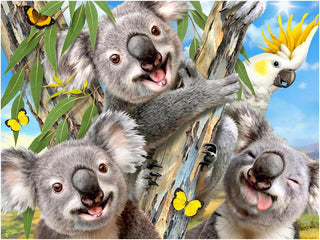 Koala Selfie 3D Jigsaw Puzzle + Plush Toy