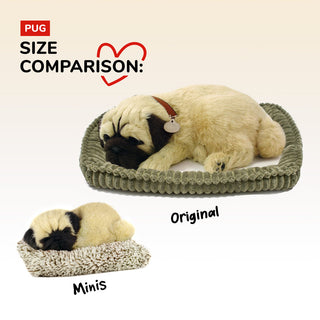 Perfect Petzzz Mini Pug