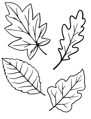 Fall Coloring Sheets