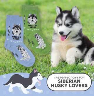 Siberian Husky Socks