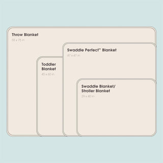 Toddler Blanket Spring Sky Feeding Ducks