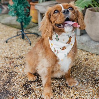 Cowboy Christmas Bamboo Pet Bandana – Matching Holiday Pet Accessory