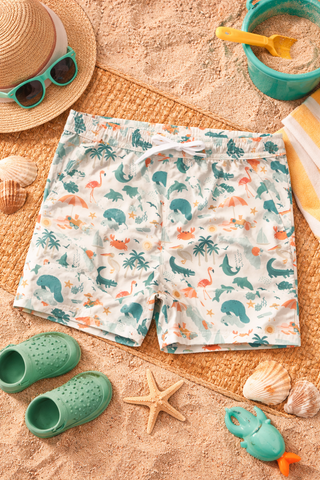 Explore Florida Boys Swim Trunks