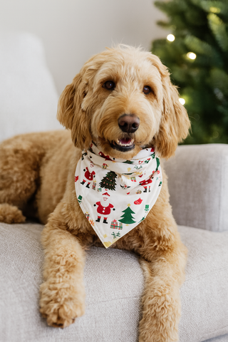 Cozy Christmas Bamboo Pet Bandana