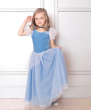 Princess Cinderella Blue Costume Dress