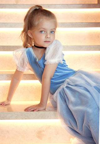 Princess Cinderella Blue Costume Dress