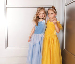 Princess Cinderella Blue Costume Dress