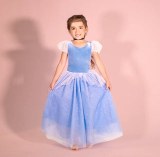 Princess Cinderella Blue Costume Dress