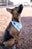 Pet Bandana
