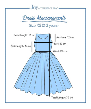 The Brave Princess Teal Costume Dress