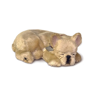 Perfect Petzzz French Bulldog