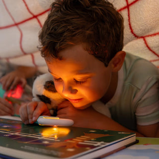 Light-Up Library Book - Pippa's Prehistoric Pals