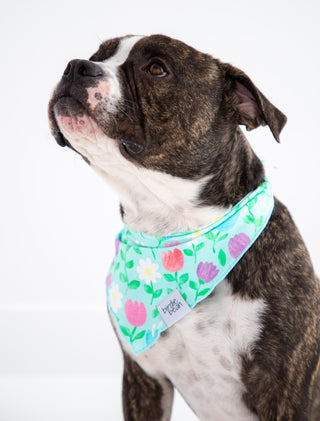 Blossom Pet Bandana
