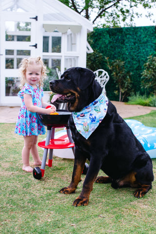 Baker Pet Bandana