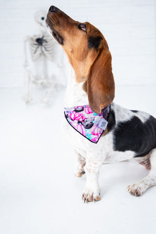 Buffy Pet Bandana
