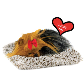 Perfect Petzzz Mini Yorkie