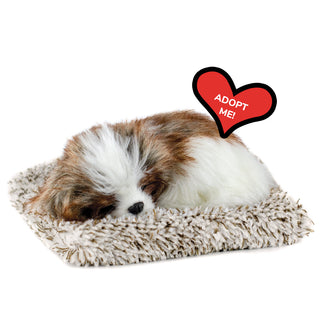 Perfect Petzzz Mini Shih Tzu
