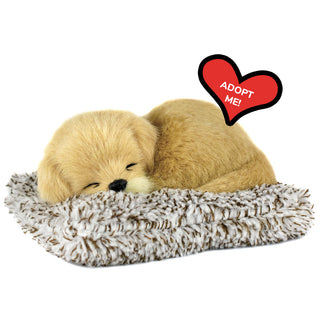 Perfect Petzzz Mini Golden Retriever