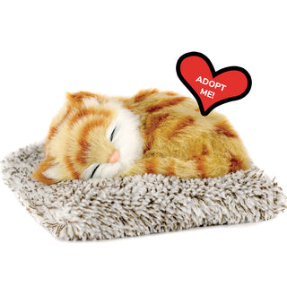 Perfect Petzzz Mini Orange Tabby