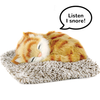 Perfect Petzzz Mini Orange Tabby