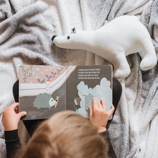 Book & Plush Combo in Camouflaged Critters with Polar Bear