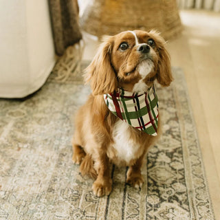 Holiday Plaid Bamboo Pet Bandana – Matching Christmas Dog Accessory