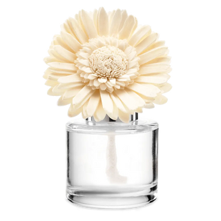 Aloe Water & Cucumber – Dainty Daisy Fragrance Flower