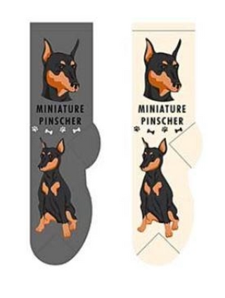 Miniature Pinscher Socks