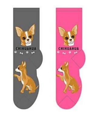 Chihuahua Socks