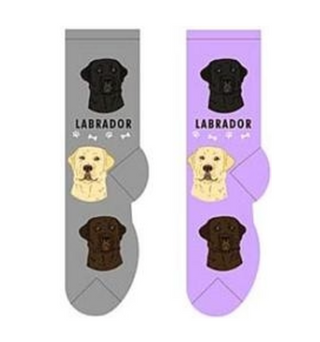 Labrador Socks